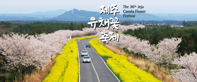유채꽃1.png 3f2aa3a880cd5a4ea189e9959f03d087.png